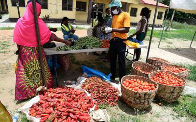Effective taxation of informal sector through local community partnership