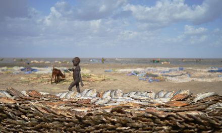 Peace and security should be prioritised in climate talks