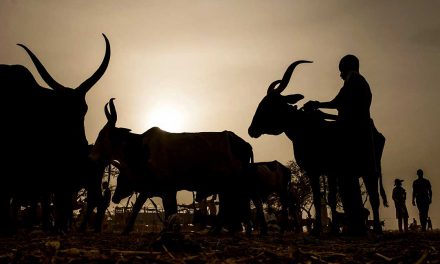 Land conflicts in Ghana:  Are cattle ranches part of the problem?