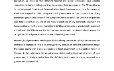 Local Government in Ethiopia: Design problems and their implications