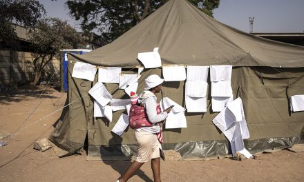 Zim polls saga: Challenges, concerns and strategies for the future