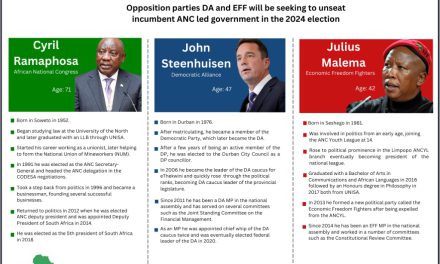 South Africa 2024 Elections Tracker