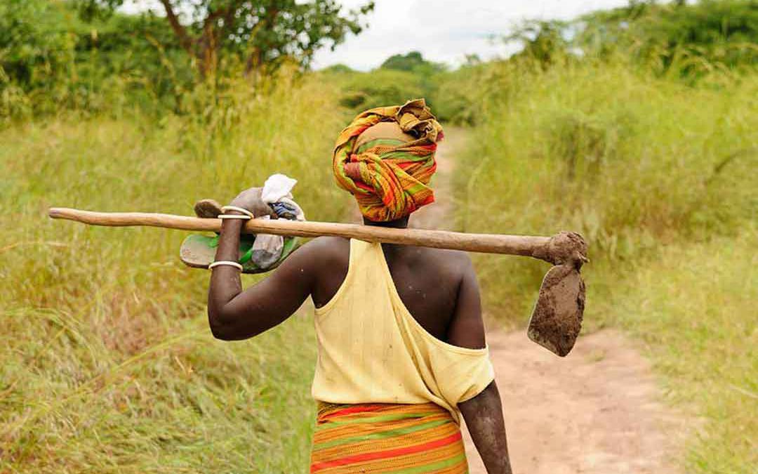 Women farmers join agricultural value chains