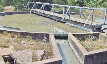 Malawi citizens pay a high price for polluted waterways