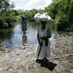 Protecting Africa’s wetlands: critical to environmental governance