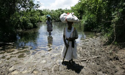 <i class='fa fa-lock-open' aria-hidden='true'></i> Protecting Africa’s wetlands: critical to environmental governance