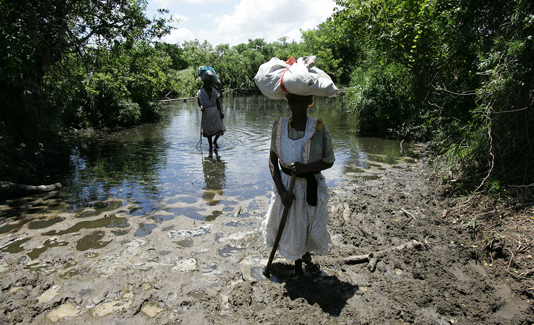 Protecting Africa’s wetlands: critical to environmental governance