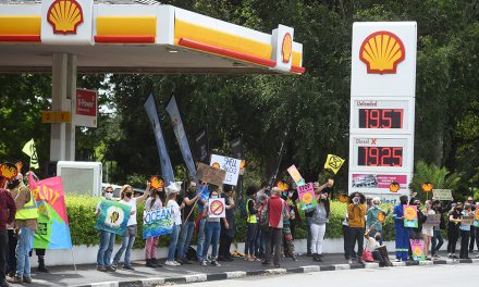 Flaws in SA’s environmental law to come under spotlight in Shell SA court review