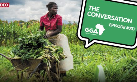 <i class='fa fa-lock-open' aria-hidden='true'></i> Why are Africa’s farmers struggling?
