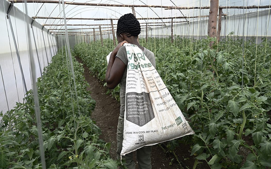 Africa’s farmers must adapt to survive