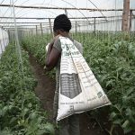 Africa’s farmers must adapt to survive