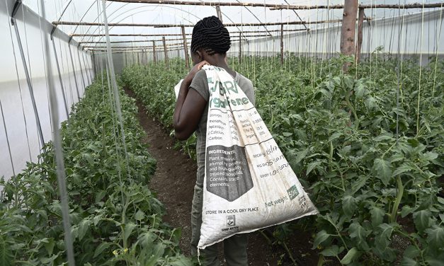 <i class='fa fa-lock-open' aria-hidden='true'></i> Africa’s farmers must adapt to survive