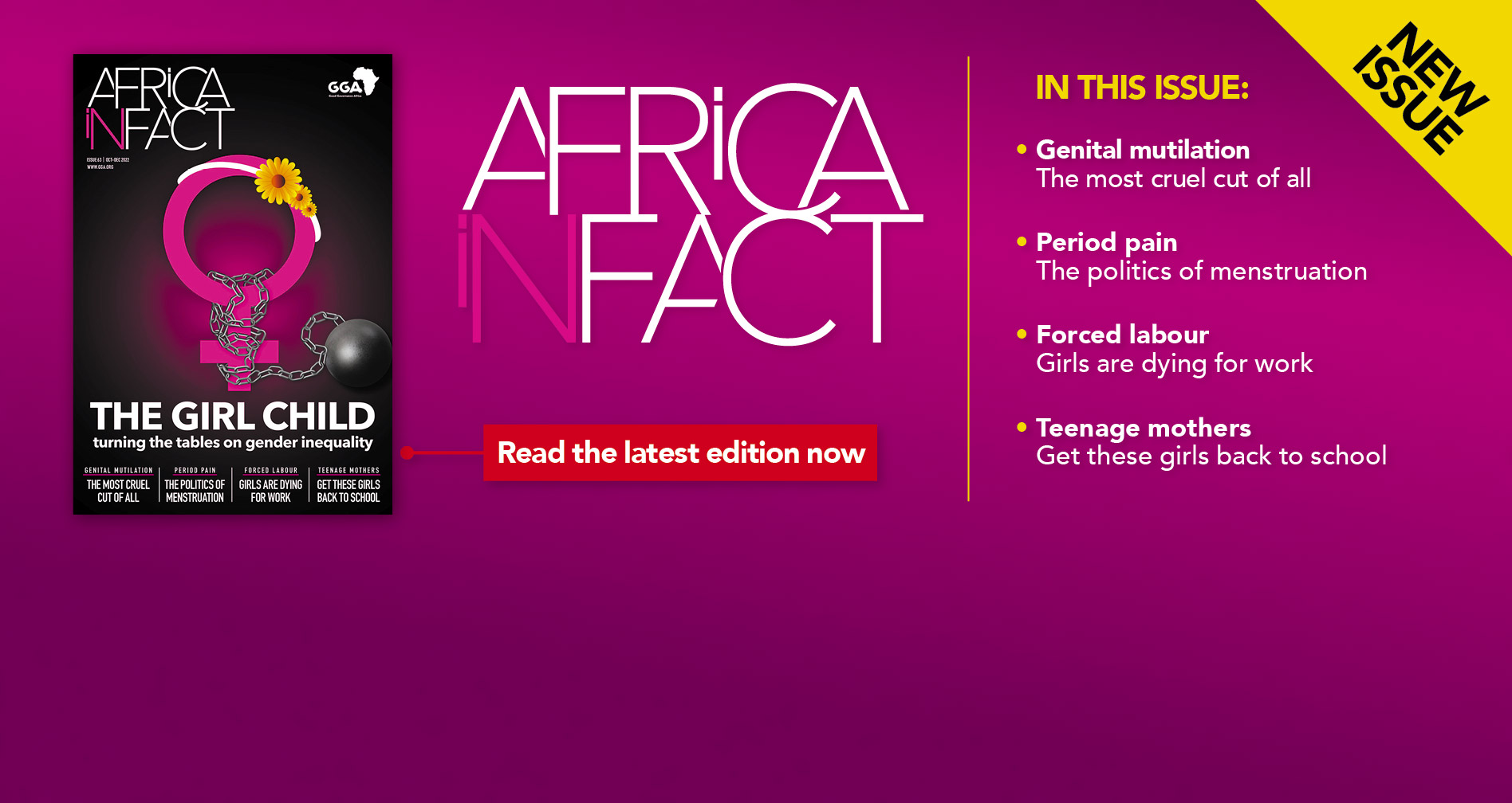 Africa in Fact - Issue 63