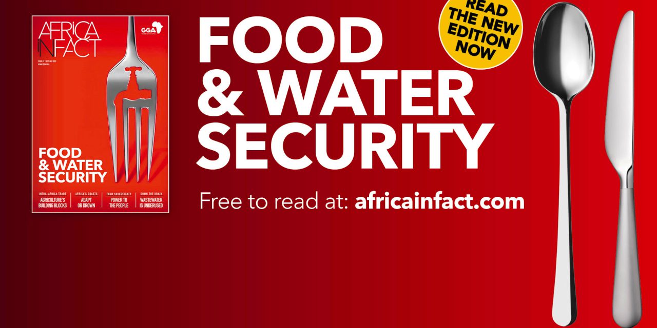 <a href="https://africainfact.com" target="_blank" rel="noopener">OUT NOW: Africa in Fact – Issue 67</a>