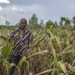 Climate financing crucial for Malawi’s agricultural sector