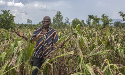 Climate financing crucial for Malawi’s agricultural sector