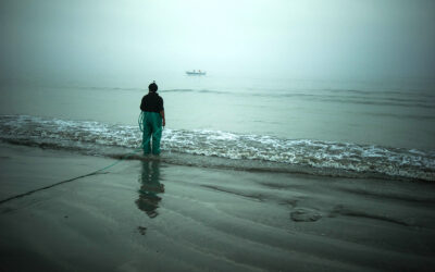 Redesigning the scorecard: Why economic accounting must include nature