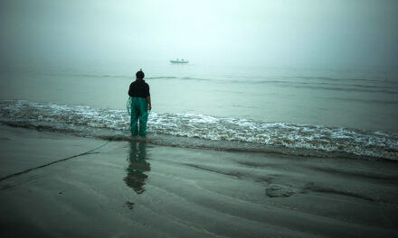 Redesigning the scorecard: Why economic accounting must include nature