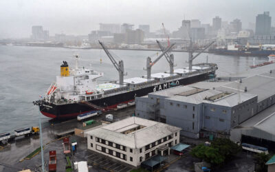 The Cape Assurance Corridor: Turning Maritime Security into a Regional Export for Southern Africa