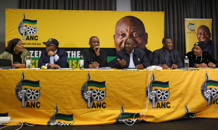 Fixing local politics starts inside South Africa’s political parties