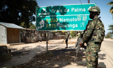 Security provision and governance in fragile resource-rich settings: Lessons from Cabo Delgado, Mozambique