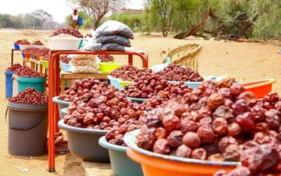 Strengthening community-centered resource governance in Mbire and Muzarabani districts, Zimbabwe