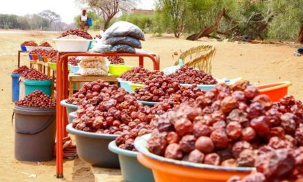 Strengthening community-centered resource governance in Mbire and Muzarabani districts, Zimbabwe