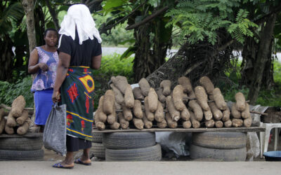 Broken councils: The dangerous politics of local government control in Osun State