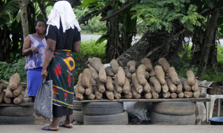 Broken councils: The dangerous politics of local government control in Osun State