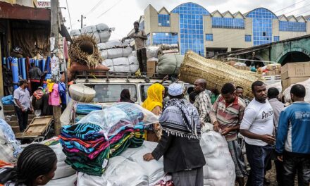The state of the informal economy in Ethiopia: Insights from Addis Ababa City Administration