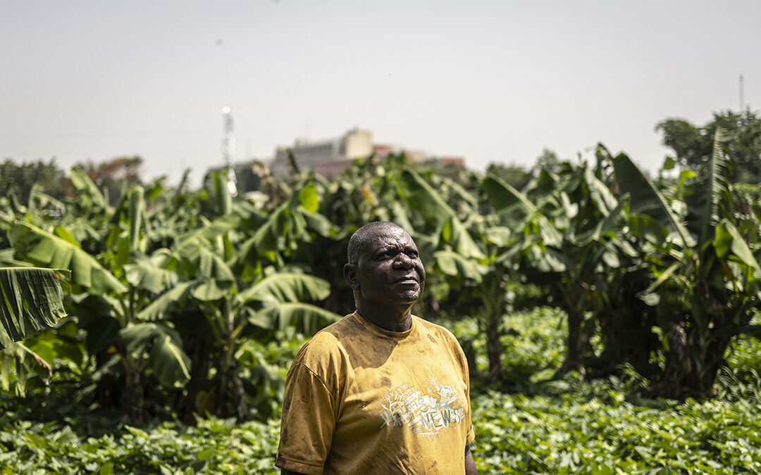 Global shock, local pain: What the Strait of Hormuz disruption means for food security in Nigeria
