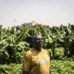 Global shock, local pain: What the Strait of Hormuz disruption means for food security in Nigeria