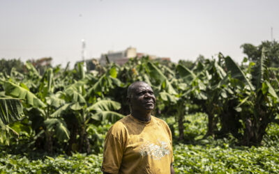 Global shock, local pain: What the Strait of Hormuz disruption means for food security in Nigeria