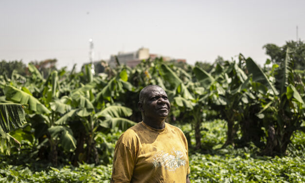 Global shock, local pain: What the Strait of Hormuz disruption means for food security in Nigeria