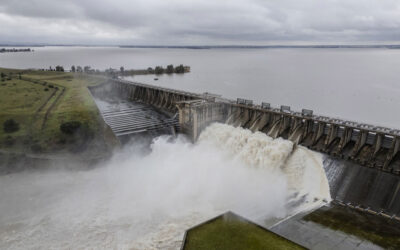 The role of PPPs in South Africa’s Water Sector