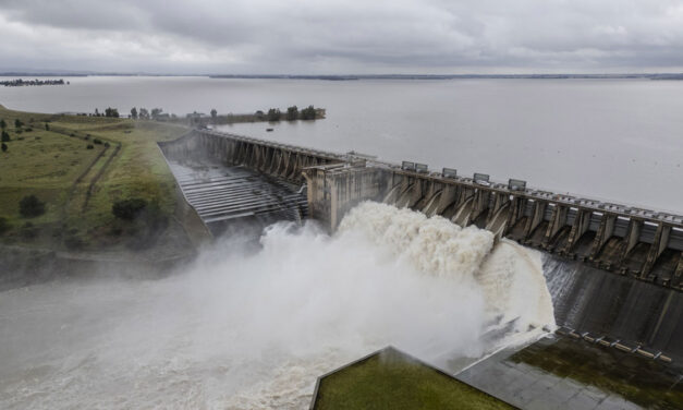 The role of PPPs in South Africa’s Water Sector