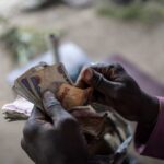 Terrorist financing: How ISWAP adapted to Nigeria’s Naira redesign